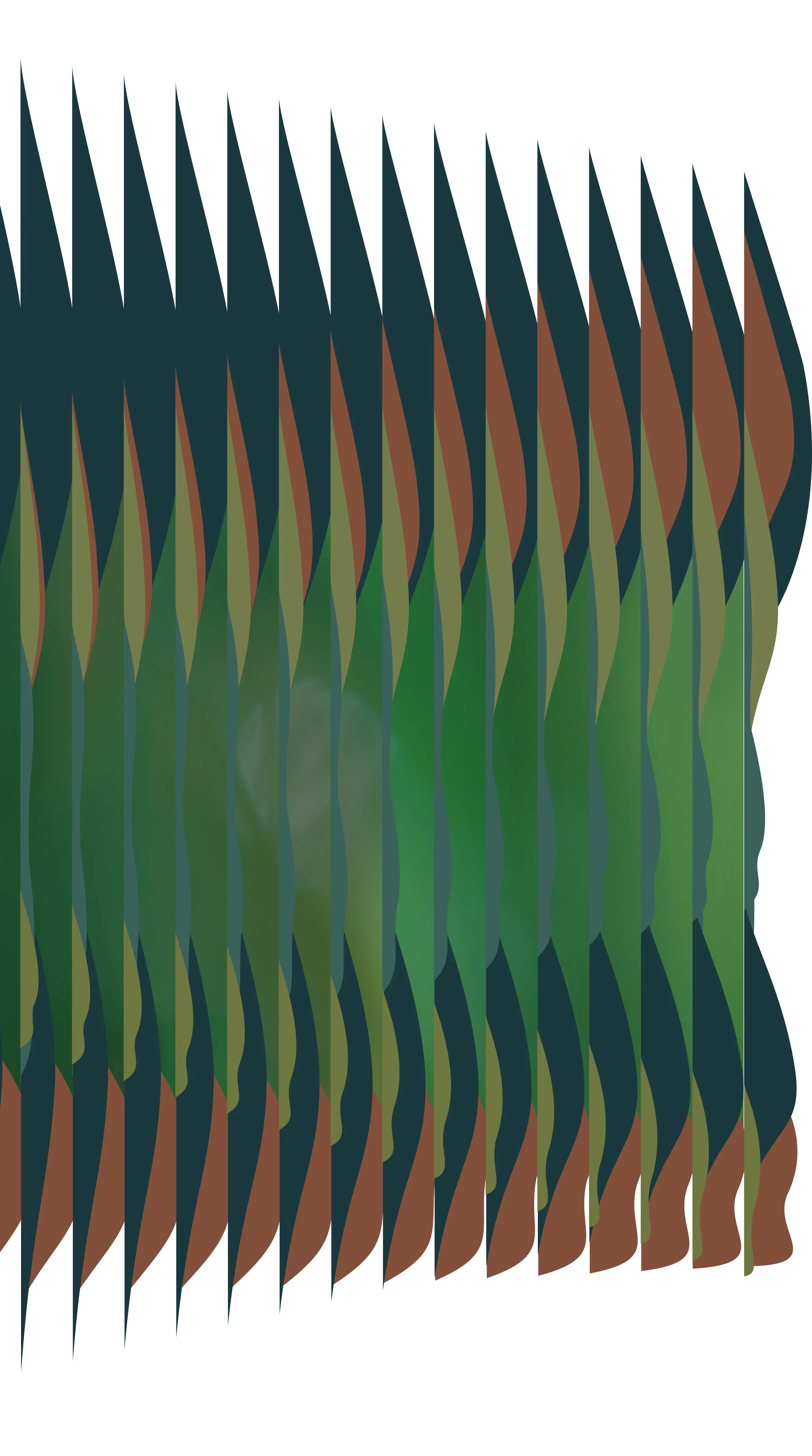 Grafismo ruas 1