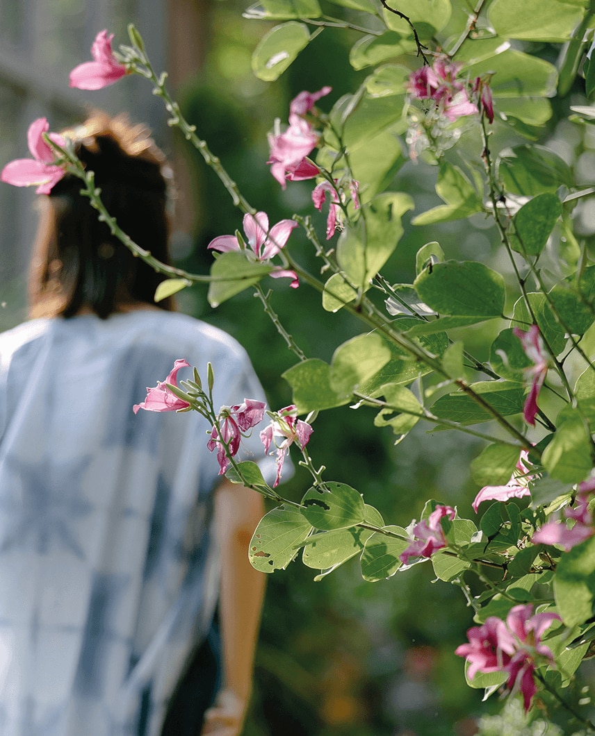 Sobre o Bairro imvel Porto Alegre Vanguard Mood Central Parque