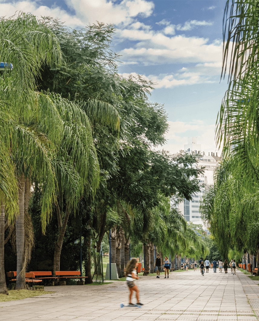 Sobre o Bairro imvel Porto Alegre Vanguard Yvy Lindia