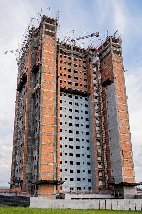 Status de Obra Londrina Vanguard wood